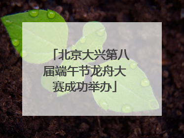 北京大兴第八届端午节龙舟大赛成功举办