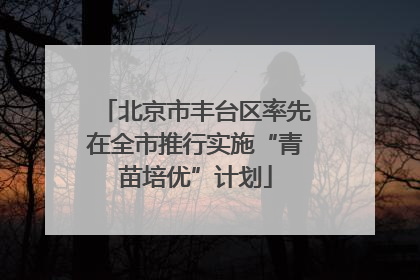 北京市丰台区率先在全市推行实施“青苗培优”计划