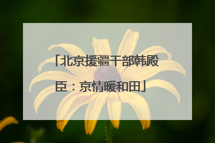 北京援疆干部韩殿臣：京情暖和田