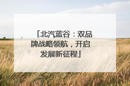 北汽蓝谷：双品牌战略领航，开启发展新征程