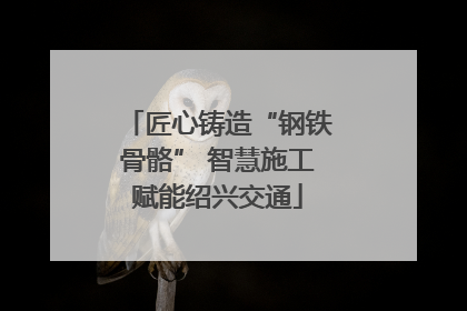 匠心铸造“钢铁骨骼” 智慧施工赋能绍兴交通