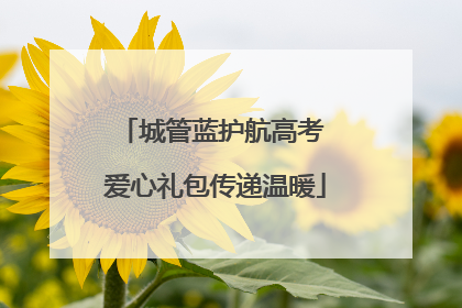 城管蓝护航高考 爱心礼包传递温暖