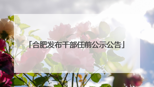 合肥发布干部任前公示公告
