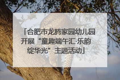 合肥市龙腾家园幼儿园开展“童趣端午汇·乐韵绽华光”主题活动