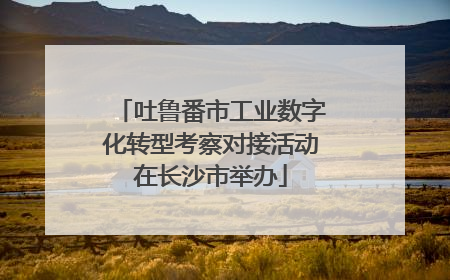 吐鲁番市工业数字化转型考察对接活动在长沙市举办