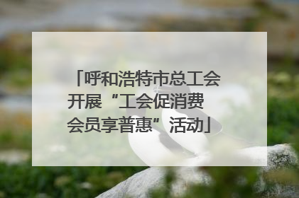 呼和浩特市总工会开展“工会促消费 会员享普惠”活动