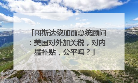 哥斯达黎加前总统顾问：美国对外加关税，对内猛补贴，公平吗？