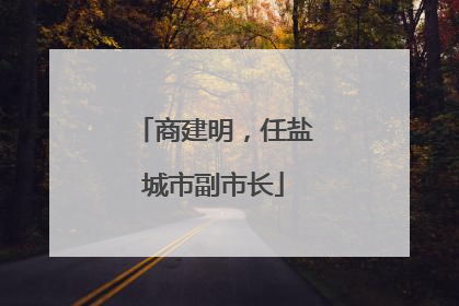 商建明，任盐城市副市长