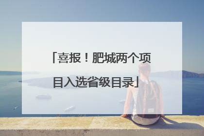 喜报！肥城两个项目入选省级目录