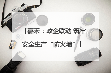 嘉禾：政企联动 筑牢安全生产“防火墙”