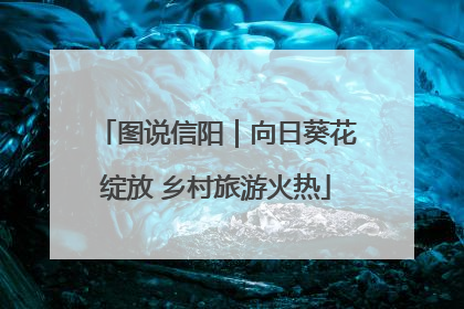 图说信阳｜向日葵花绽放 乡村旅游火热