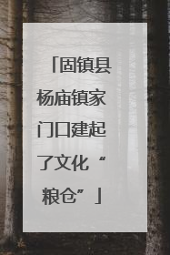 固镇县杨庙镇家门口建起了文化“粮仓”
