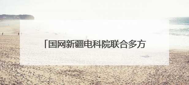国网新疆电科院联合多方开展“爱鸟护线”科普交流活动 共筑鸟类友好城市