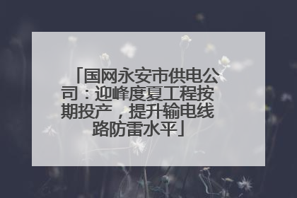 国网永安市供电公司：迎峰度夏工程按期投产，提升输电线路防雷水平