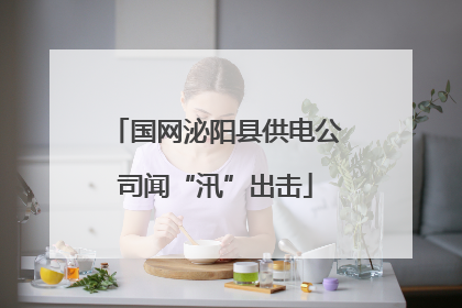 国网泌阳县供电公司闻“汛”出击