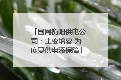 国网衡阳供电公司：主变增容 为度夏供电添保障
