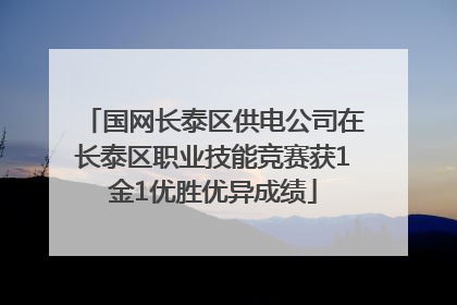 国网长泰区供电公司在长泰区职业技能竞赛获1金1优胜优异成绩