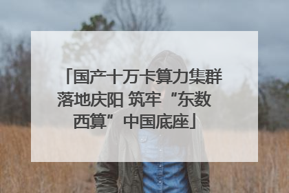 国产十万卡算力集群落地庆阳 筑牢“东数西算”中国底座
