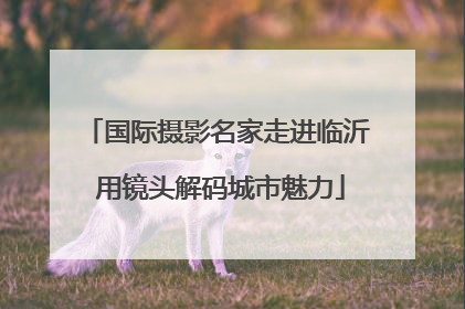 国际摄影名家走进临沂 用镜头解码城市魅力