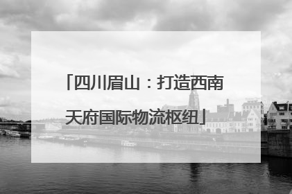 四川眉山：打造西南天府国际物流枢纽