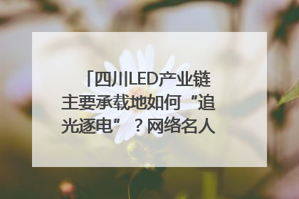 四川LED产业链主要承载地如何“追光逐电”？网络名人走进攀枝花找答案｜网络名人四川行