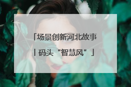 场景创新河北故事丨码头“智慧风”