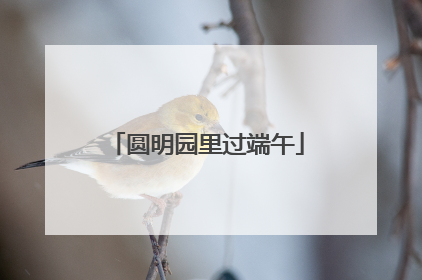 圆明园里过端午