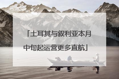 土耳其与叙利亚本月中旬起运营更多直航