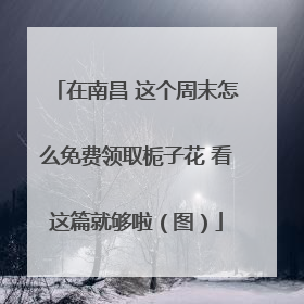 在南昌 这个周末怎么免费领取栀子花 看这篇就够啦（图）
