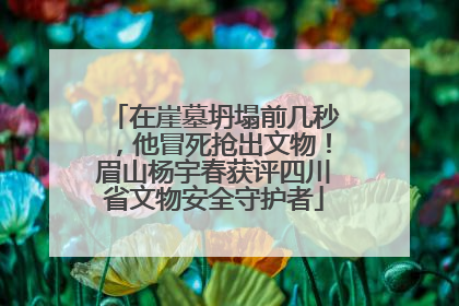 在崖墓坍塌前几秒，他冒死抢出文物！眉山杨宇春获评四川省文物安全守护者