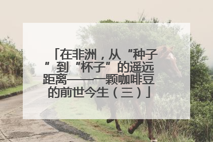 在非洲，从“种子”到“杯子”的遥远距离——一颗咖啡豆的前世今生（三）