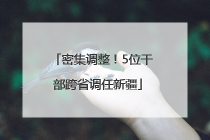 密集调整！5位干部跨省调任新疆