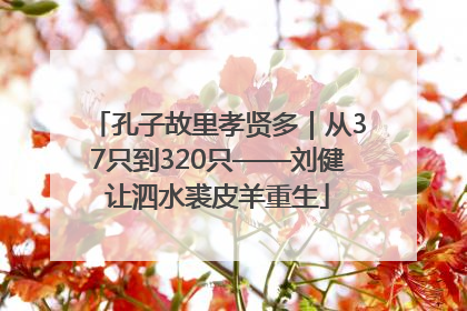 孔子故里孝贤多｜从37只到320只——刘健让泗水裘皮羊重生