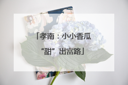 孝南：小小香瓜 “甜”出富路