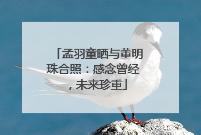 孟羽童晒与董明珠合照：感念曾经，未来珍重