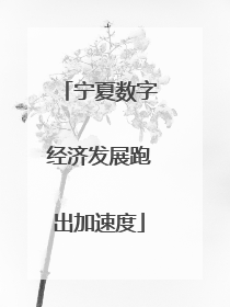 宁夏数字经济发展跑出加速度