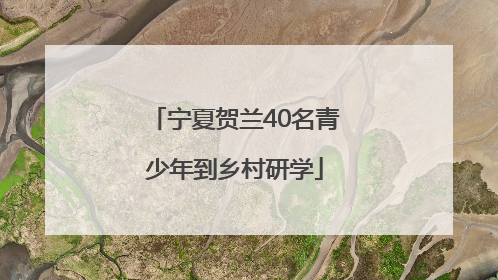 宁夏贺兰40名青少年到乡村研学