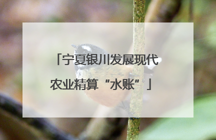 宁夏银川发展现代农业精算“水账”