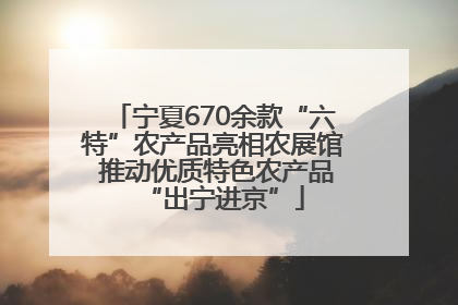 宁夏670余款“六特”农产品亮相农展馆 推动优质特色农产品“出宁进京”