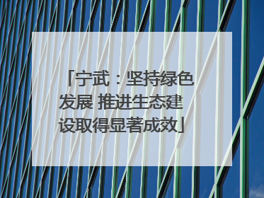 宁武：坚持绿色发展 推进生态建设取得显著成效