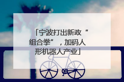 宁波打出新政“组合拳”，加码人形机器人产业