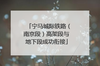 宁马城际铁路（南京段）高架段与地下段成功衔接