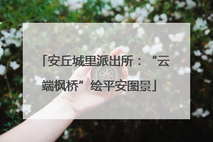 安丘城里派出所：“云端枫桥”绘平安图景