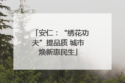 安仁：“绣花功夫”提品质 城市焕新惠民生