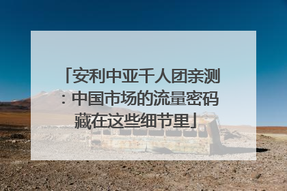 安利中亚千人团亲测：中国市场的流量密码 藏在这些细节里
