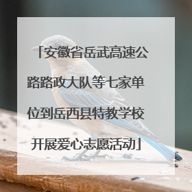安徽省岳武高速公路路政大队等七家单位到岳西县特教学校开展爱心志愿活动