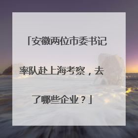 安徽两位市委书记率队赴上海考察，去了哪些企业？