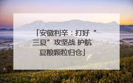 安徽利辛：打好“三夏”攻坚战 护航夏粮颗粒归仓