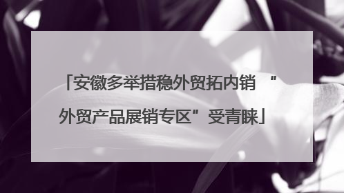 安徽多举措稳外贸拓内销 “外贸产品展销专区”受青睐