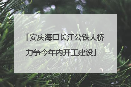 安庆海口长江公铁大桥力争今年内开工建设